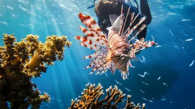 AWE365's tweet photo. Adventure blog - Action sports articles - Gear & holiday reviews
From skydiving to scuba diving find inspiration here: https://t.co/Uvcf3jt1sK
#blog #blogger #travelblogger #adventureblog #AdventuresEveryDay https://t.co/sRdrkExLgD