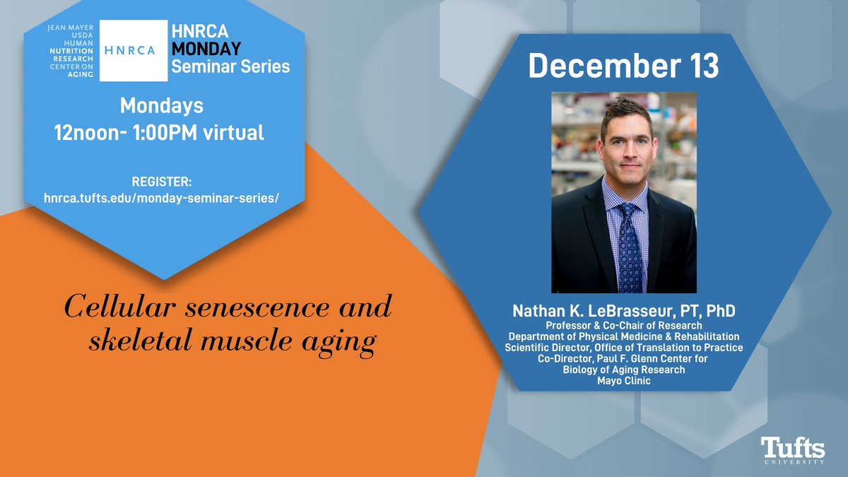 HNRCA_Tufts's tweet photo. Very excited to welcome @NKLeBRASSEUR @MayoClinic on Monday at noon ET to speak about # Cellularsenescence #muscleaging Register now and join us! https://t.co/eJ2J9iGSwU https://t.co/XEbVGFNoVp