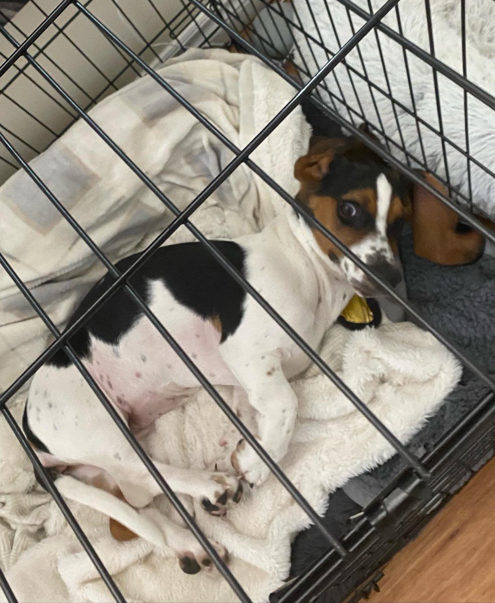 H was not ready to wake up this morning 😄