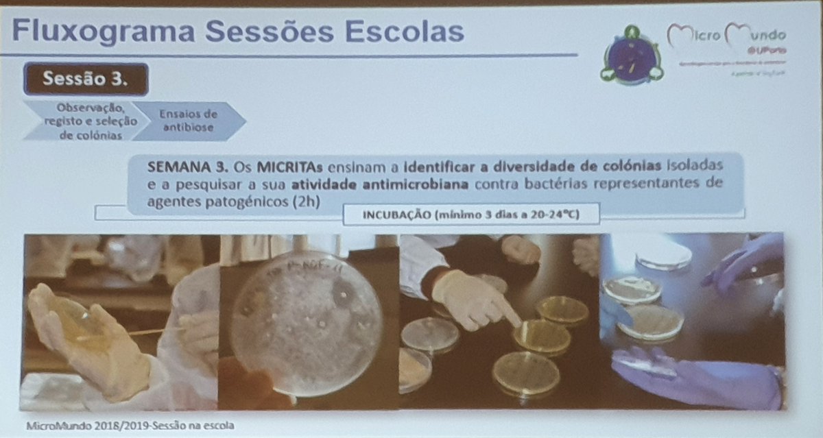 BacTdrugs_lab's tweet photo. The second training session of #FFUP and #FCNAUP students for @MicroMundoUP has just started! Today we will have 2021/2022 MICRITAS ready to go! https://t.co/w2aj0xmdZA