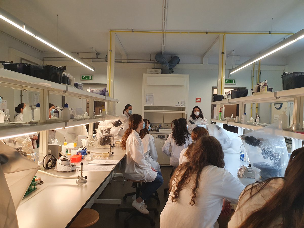 BacTdrugs_lab's tweet photo. The second training session of #FFUP and #FCNAUP students for @MicroMundoUP has just started! Today we will have 2021/2022 MICRITAS ready to go! https://t.co/w2aj0xmdZA