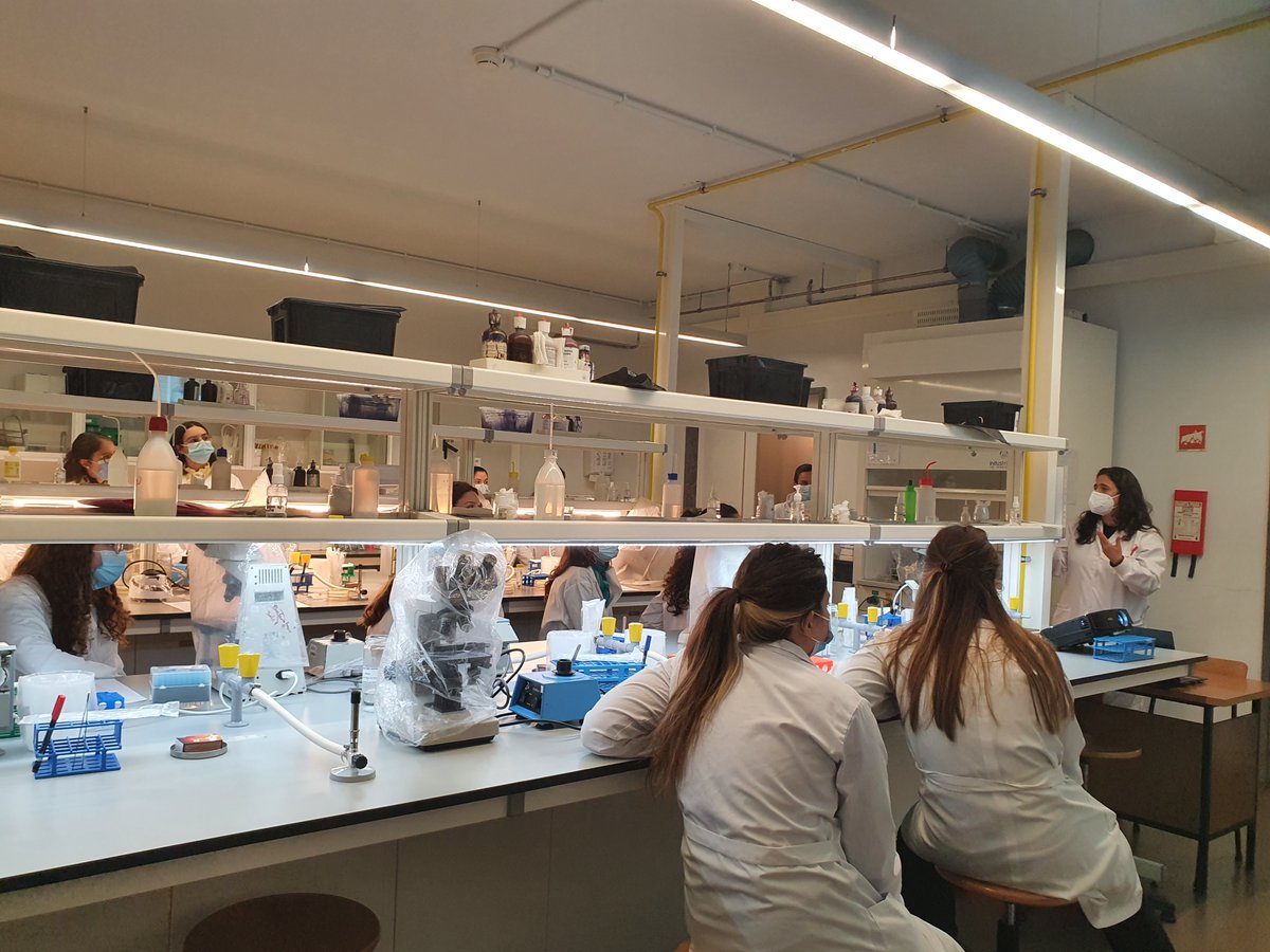 BacTdrugs - Luísa Peixe lab (@bactdrugs_lab) on Twitter photo The second training session of #FFUP and #FCNAUP students for <a href="/MicroMundoUP/">MicroMundo@UPorto</a> has just started! Today we will have 2021/2022 MICRITAS ready to go! The second training session of #FFUP and #FCNAUP students for <a href="/MicroMundoUP/">MicroMundo@UPorto</a> has just started! Today we will have 2021/2022 MICRITAS ready to go!