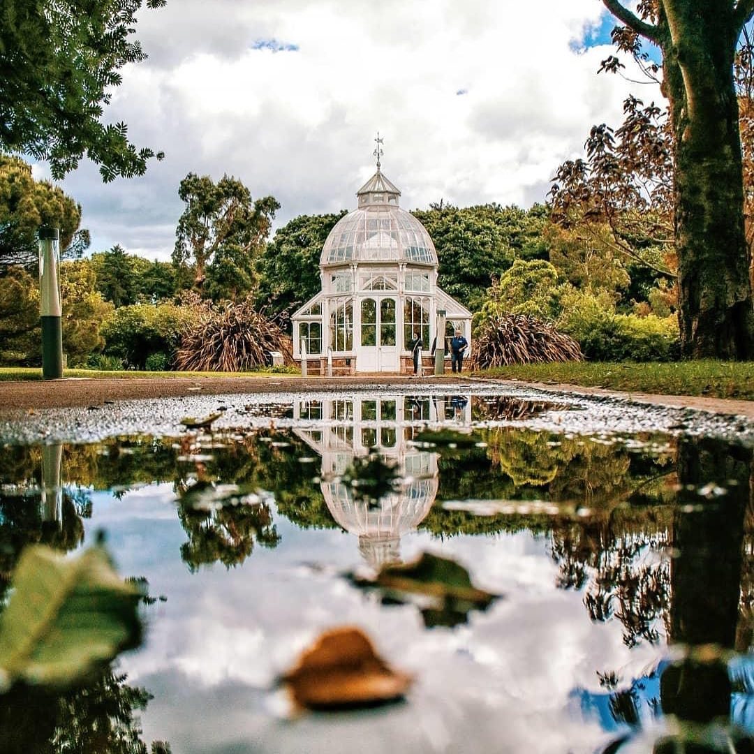 LoveFingalDub's tweet photo. No better spot to spend a morning than Malahide Castle and Gardens. π°π°
Victorian glasshouses, ornamental ponds, secret gardens β whatβs stopping you!
#yourFingal #StayLocal #VisitFingal #LoveDublin #OnlyMassive
πΈ: @marcotamby https://t.co/I6IOpXPGht