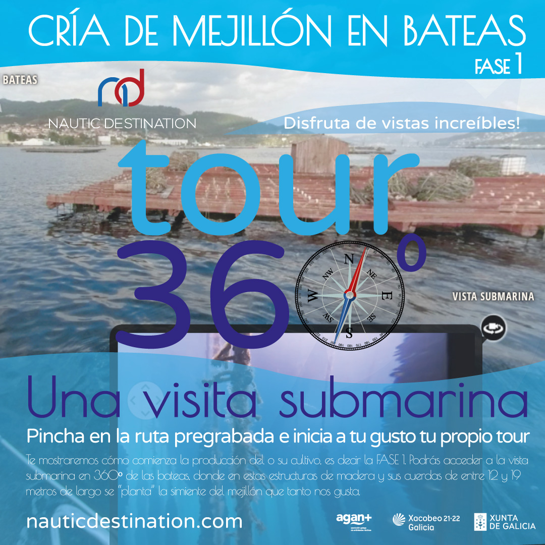 ¿𝗧𝗲 𝗵𝗮𝘀 𝗽𝗿𝗲𝗴𝘂𝗻𝘁𝗮𝗱𝗼 𝗮𝗹𝗴𝘂𝗻𝗮 𝘃𝗲𝘇 𝗰𝗼́𝗺𝗼 𝗲𝘀 𝗲𝗹 𝗰𝘂𝗹𝘁𝗶𝘃𝗼 𝗱𝗲𝗹 𝗺𝗲𝗷𝗶𝗹𝗹𝗼́𝗻? 👇
FASE 1 𝘃𝗶𝘀𝘁𝗮 𝘀𝘂𝗯𝗺𝗮𝗿𝗶𝗻𝗮 𝗲𝗻 𝟯𝟲𝟬º 𝗱𝗲 𝗹𝗮𝘀 𝗯𝗮𝘁𝗲𝗮𝘀
#RíasdeGalicia #bateas #mejillón