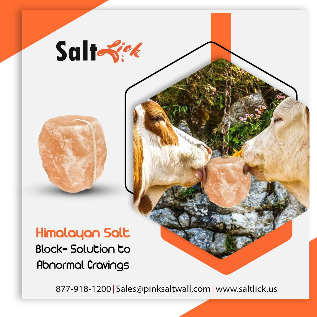 lisawilliams129's tweet photo. Some of the pink Himalayan salt's commonly promoted health claims include that it can:
Improve respiratory diseases.
Balance your body's pH.
Reduce signs of aging.
Improve sleep quality.
Regulate blood sugar.
Increase libido.
#saltlick #himalayansalt #animalsalt #pinksalt #animal https://t.co/WfC4gn7kJV