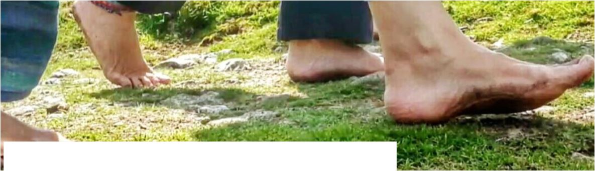 BarefootPeace's tweet image. Blog by a pro-#barefoot podiatrist: naturalfeet.wordpress.com