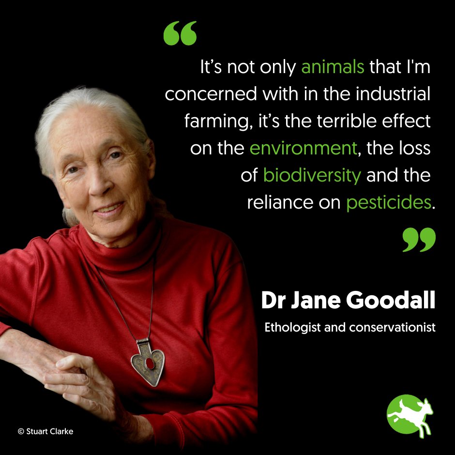 ciwf's tweet photo. Fantastic to hear our Patron @JaneGoodallInst speaking out against factory farming at today's @EU_Commission Animal Welfare Conference. 👏👏

#TIME4AW #EU4AnimalWelfare https://t.co/9gYWKjj31Z