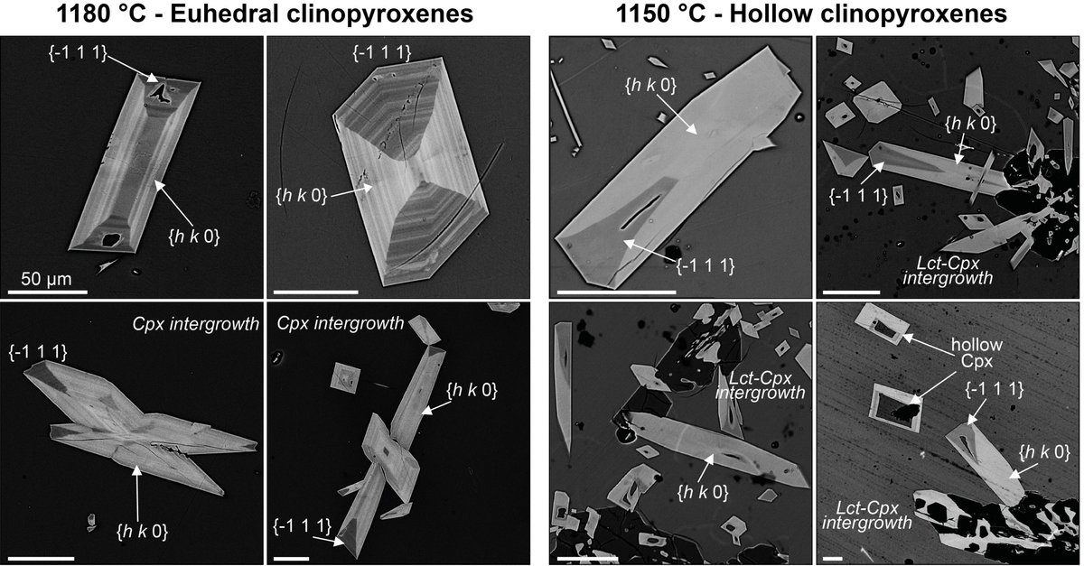 soc_min_pet's tweet image. New #SIMPaper !
Di Fiore et al, discuss the "Kinetic partitioning of #major and #trace #cations between #clinopyroxene and #phonotephritic #melt under convective stirring conditions: New insights into clinopyroxene sector zoning and concentric zoning."
sciencedirect.com/science/articl…