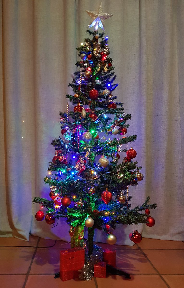 FeatzR's tweet photo. #booktwt moved into the new house on the 1st of Dec. Happy to say I am done unpacking and tonight we added the tree... bring on #Christmas2021 #Christmaswishes #booksplease https://t.co/5pPyIkHjss