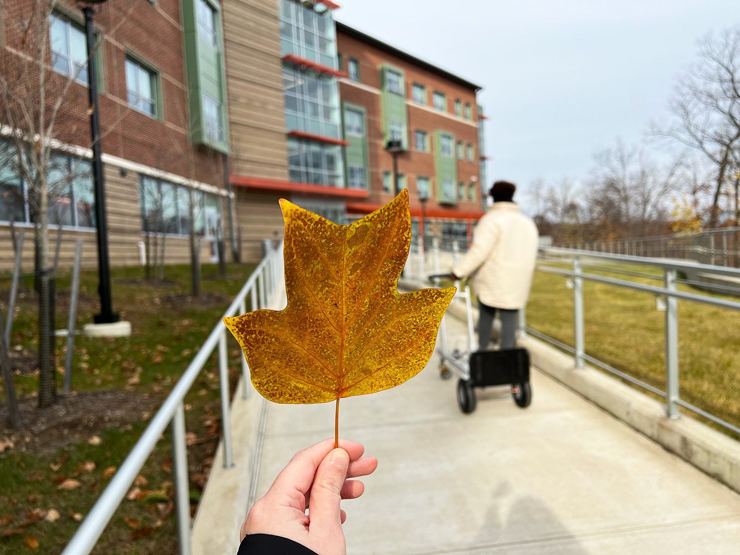 William Paterson University on X: "As our Pioneers prepare to go home for  winter, we can't help but feel bittersweet about fall 2021 semester coming  to an end. 🧡 It's been amazing