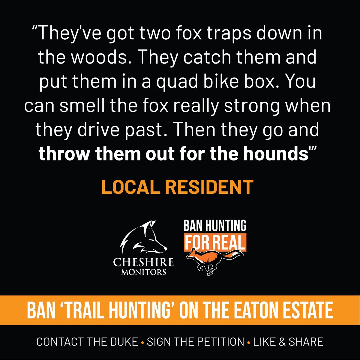 Cheshire Monitors tweet media