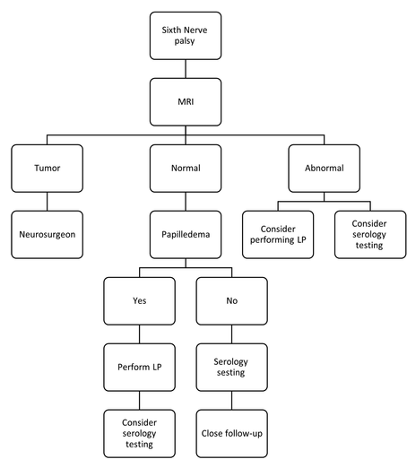 JChildNeurol's tweet photo. Online first at JCN: A retrospective study of 17 pediatric patients with sixth nerve palsy
https://t.co/GnzLpy7Qnt #neuroophthalmology #cranialnerves #CNVI https://t.co/WSgSvqvWHq