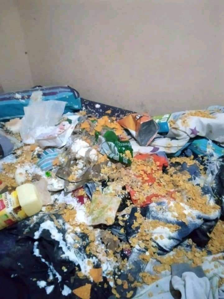 CryptoMadeFun_'s tweet photo. She found out that I'm cheating and she did this 😢💔
What must I do? https://t.co/sTGySbI2HY