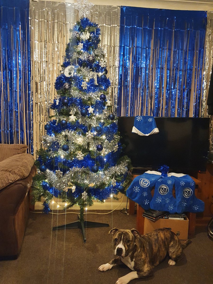 gratwickgem's tweet photo. trees up ππ₯° #pompey #bluewhitesilver #santasblue #noredinthishouse https://t.co/MxrvElRsQM