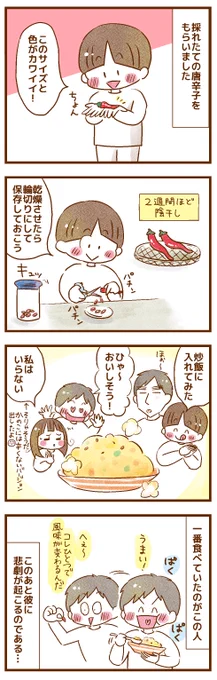 目に唐辛子が入って「目がぁ…!!!目があああああ!!!」ってなったときの対処法(1/3)
#コミックエッセイ 
#育児漫画
#漫画が読めるハッシュタグ 
#イラスト 