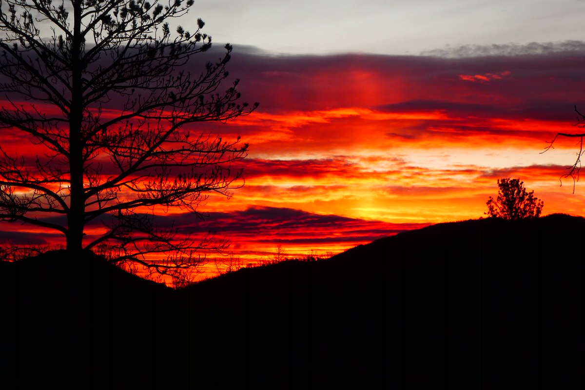 WLRV's tweet photo. As the sun sets on the 2021 volunteer season, we invite our community to join us tonight,  December 9th for our Appreciation Celebration from 7:00-8:00pm online. 
More info and RSVP at https://t.co/cqXanG1S7e https://t.co/W7ivhnPFVz