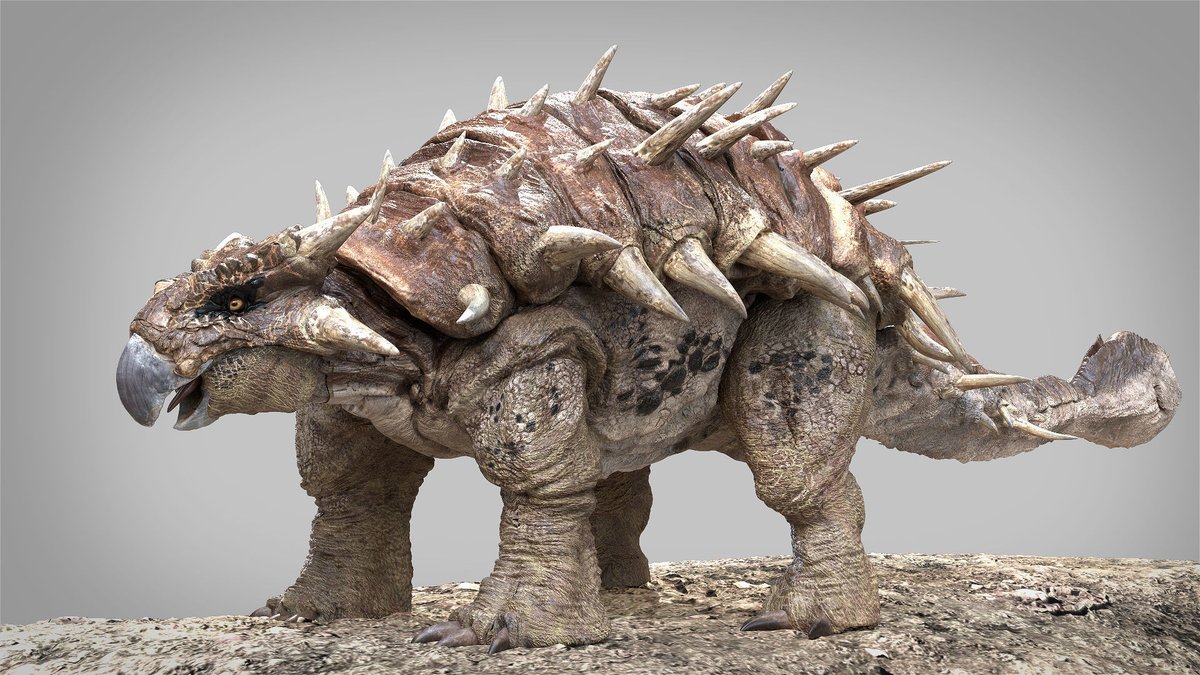 MoggyZpartuss's tweet photo. ;) #fossilizer #predacon #warforcybertron #wfckingdom #customtoys #toycustomizer #toycustoms https://t.co/8Sncs5hN9I