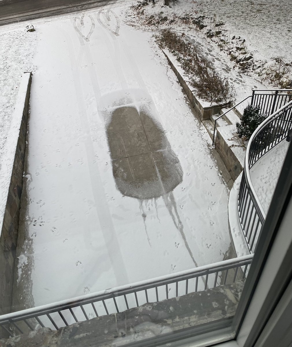tarastrong's tweet photo. Someone must’ve used my driveway this morning to turn around &amp; I’m ok with it cuz look at all the love they left 💜💜 https://t.co/nzXTE1tTNC