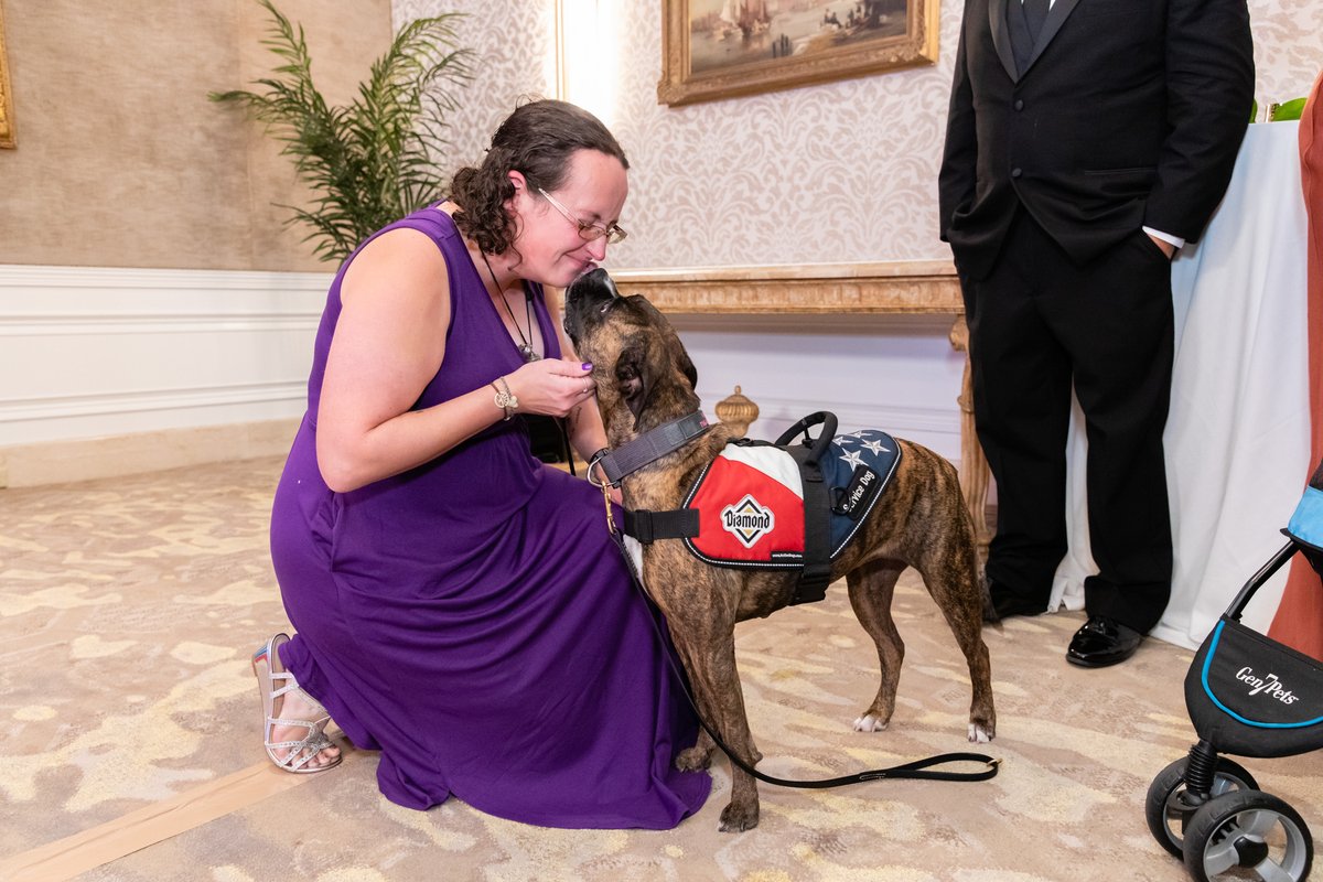 AmericanHumane's tweet photo. Today, on the #InternationalDayOfVeterinaryMedicine, we honor those who have dedicated their careers to bettering the lives of animals, including the extraordinary winners of this year's #HeroVetAwards. Be sure to thank your own veterinary hero! Read more: https://t.co/W6S8MPb3E3 https://t.co/dCJ5PvYdg4