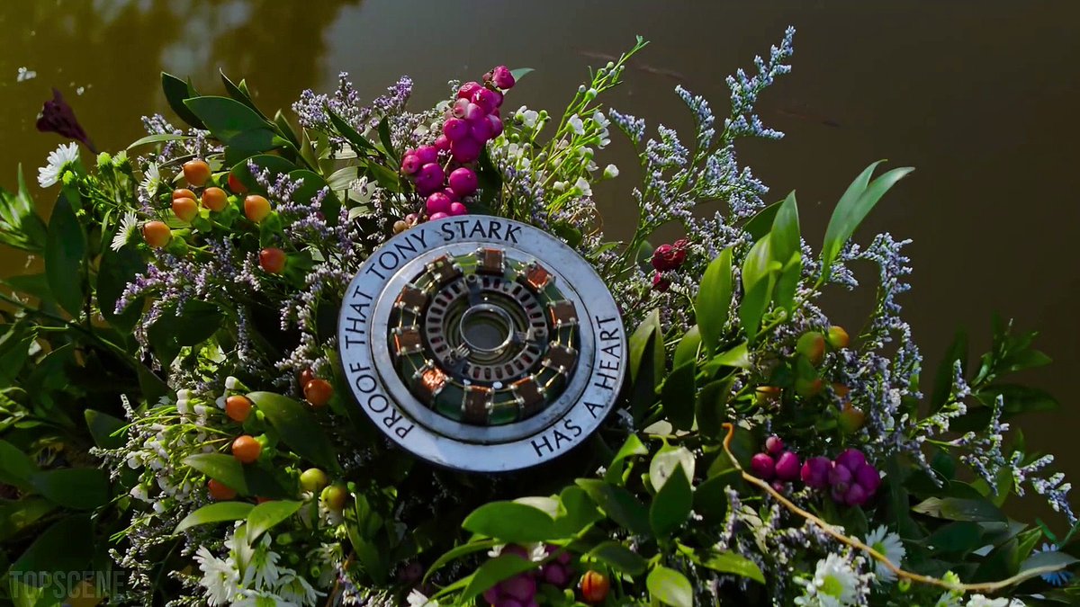 мстители финал похороны. похороны железного человека. мстители похороны старка. мстители финал похороны тони старка. уильям хёрт мстители.