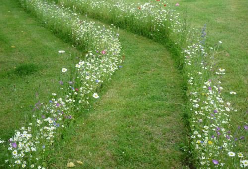 seokuva's tweet photo. flower pathways ๐๐ https://t.co/YkV1SoFrQs