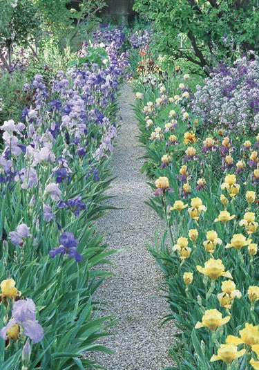 seokuva's tweet photo. flower pathways ๐๐ https://t.co/YkV1SoFrQs