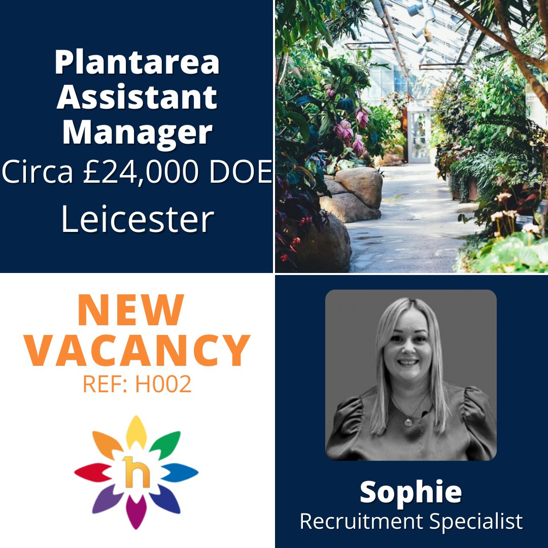 The role of Plantarea Assistant Manager is now available at a family-owned centre, based in Leicester.

horticruitment.com/job/horticultu… 

#leicesterjobs #jobsinleicester #recruiter #horticultural #gardencentre #gardencentres #gardencentrelife #gardencentreretail #gardencentrejobs
