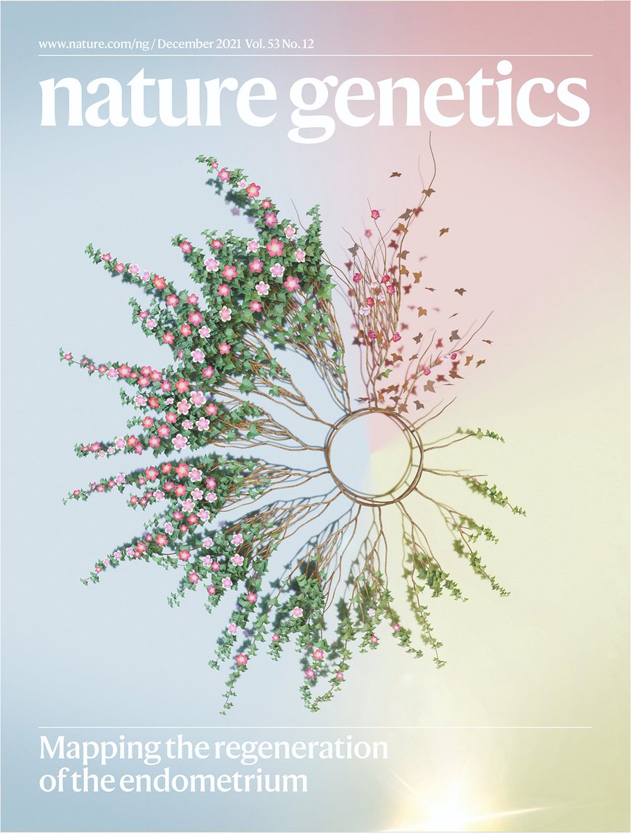 Very happy to have helped shape the ideas of <a href="/krobertssci/">Kenny Roberts</a> and <a href="/roserventotormo/">roser</a>, not only in their research article but also for a cover image! The cover artwork shows the endometrium represented as a garden cycling through seasons.