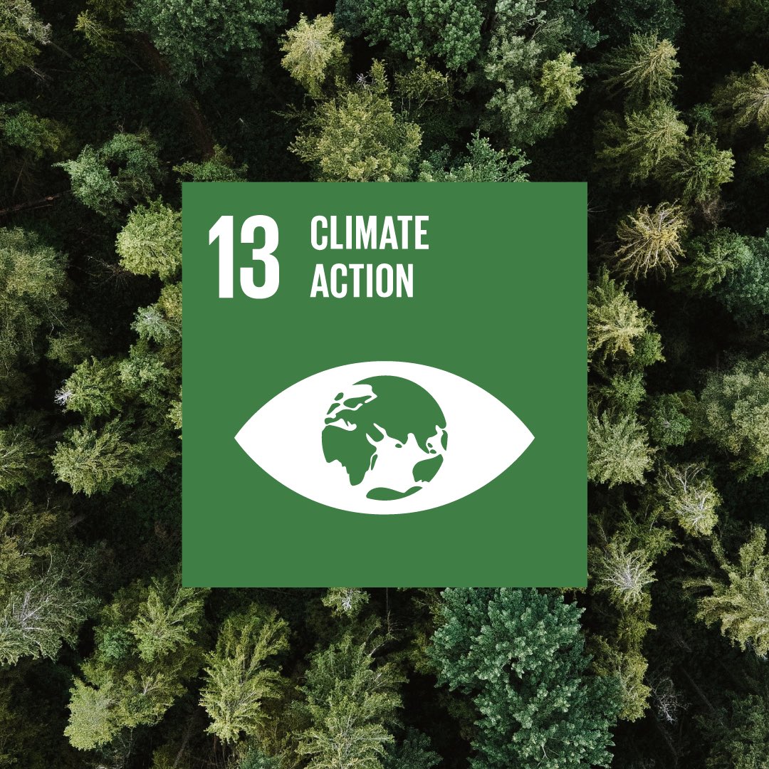 ewlspain's tweet photo. Ecological World for Life 🌎 and its objectives align with the Sustainable Development Goals of the 2030 agenda. We want to help mitigate the #climatecrisis and work for #climateactionnow https://t.co/KfLBz2Zl4r