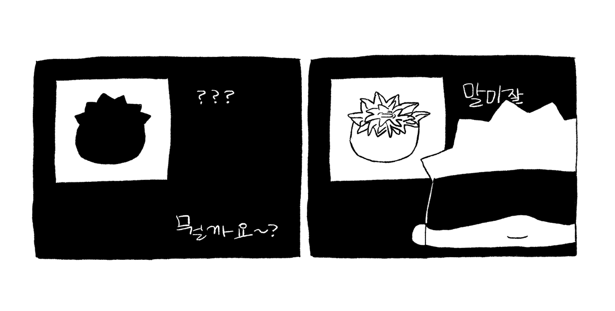고죠랑 후시남매 