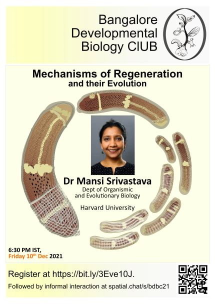 I hope you've signed up for this talk by @acoel_hofstenia at the @DevBioClub. If not, do so now! bit.ly/3Eve10J* *right link!