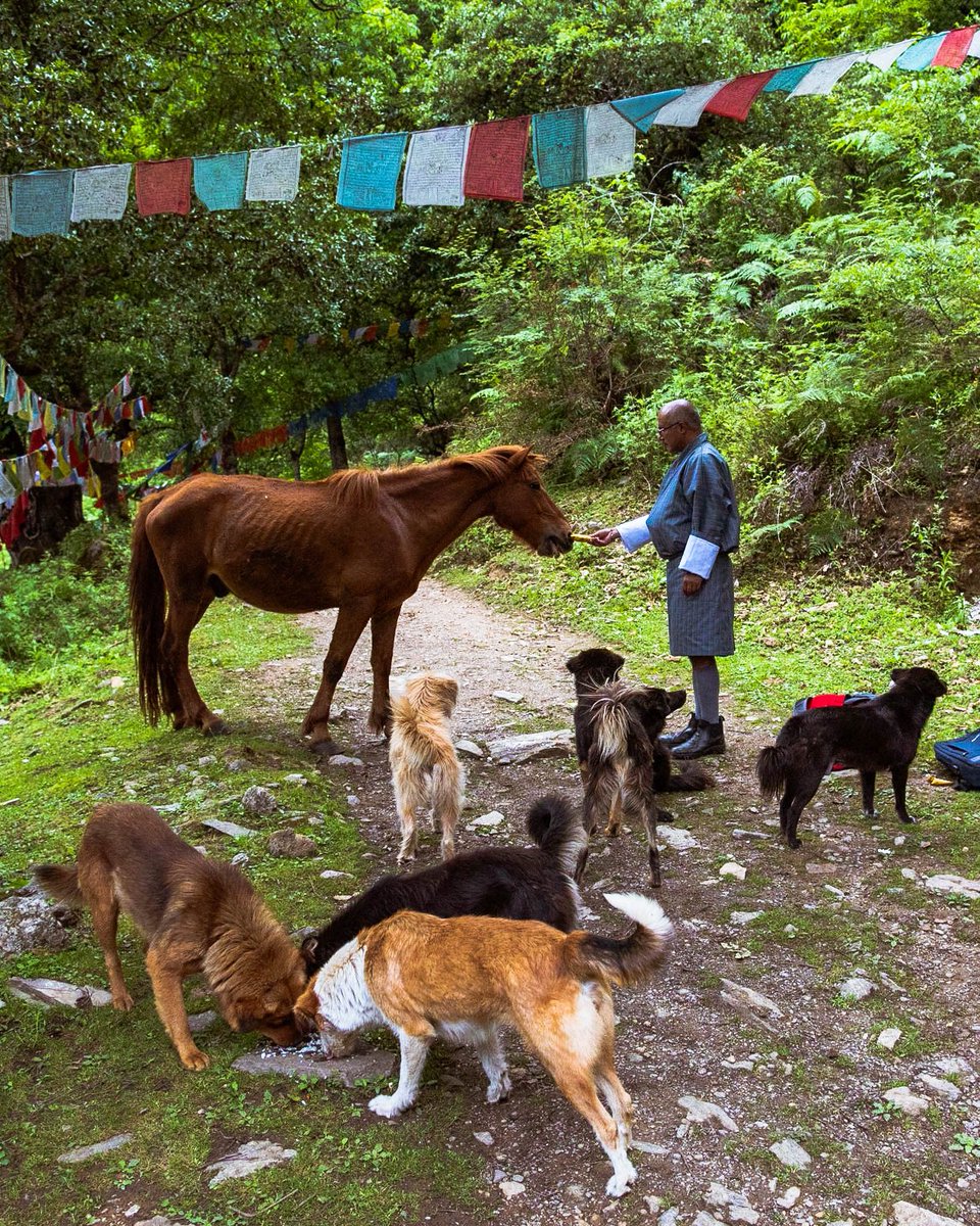 Summer in the Himalayas