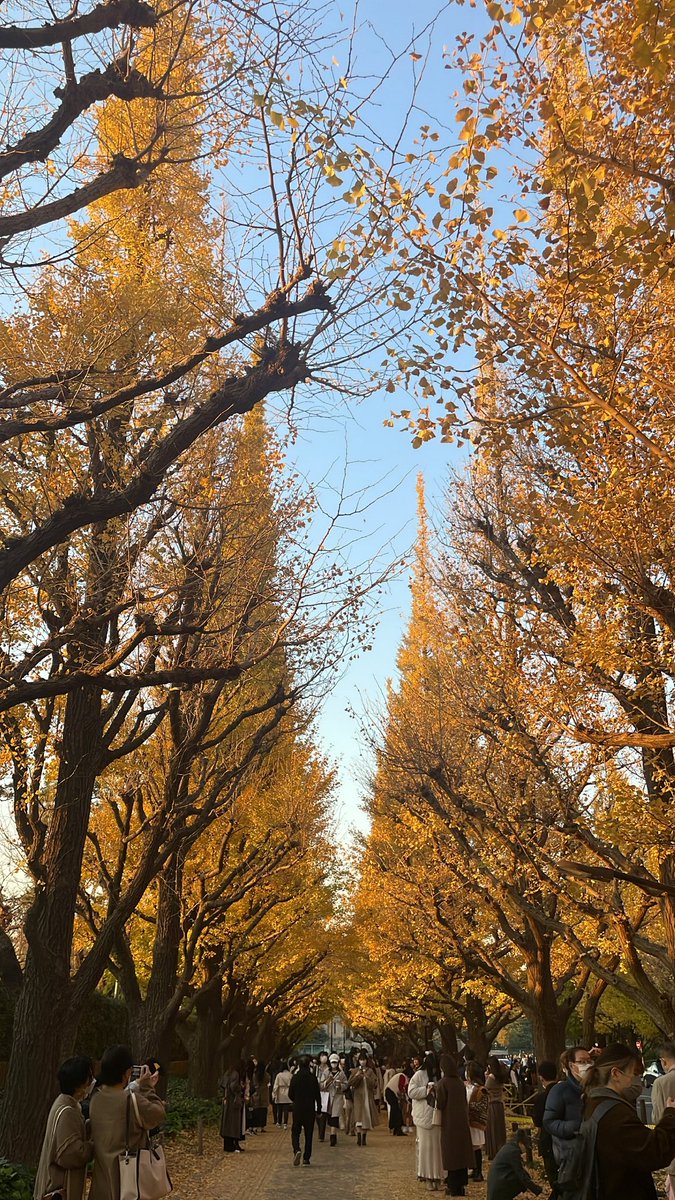 n__009312's tweet photo. もう冬だけど秋の写真🍂🌾 https://t.co/s8H0fldNru