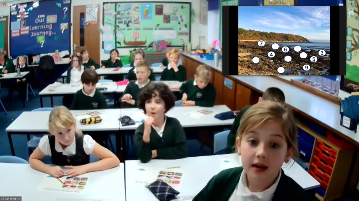 rockpoolproject's tweet photo. How wonderful to take Fowey Class from @CarbeileJunior School on a live, virtual rock pooling session. We discovered astonishing creatures, played rock pool bingo, imagined we were crabs, barnacles &amp; fish and learned heaps about classification &amp; adaptation. Next stop, the beach! https://t.co/iLytgr63Ds