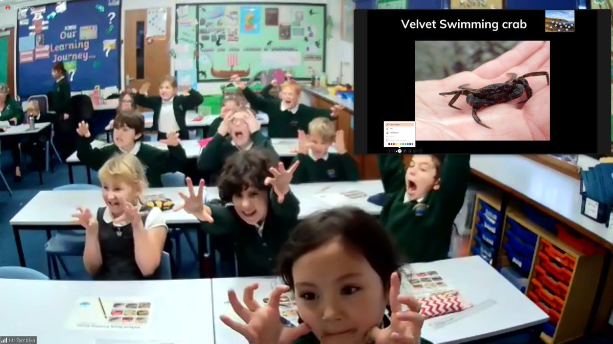 rockpoolproject's tweet photo. How wonderful to take Fowey Class from @CarbeileJunior School on a live, virtual rock pooling session. We discovered astonishing creatures, played rock pool bingo, imagined we were crabs, barnacles &amp; fish and learned heaps about classification &amp; adaptation. Next stop, the beach! https://t.co/iLytgr63Ds