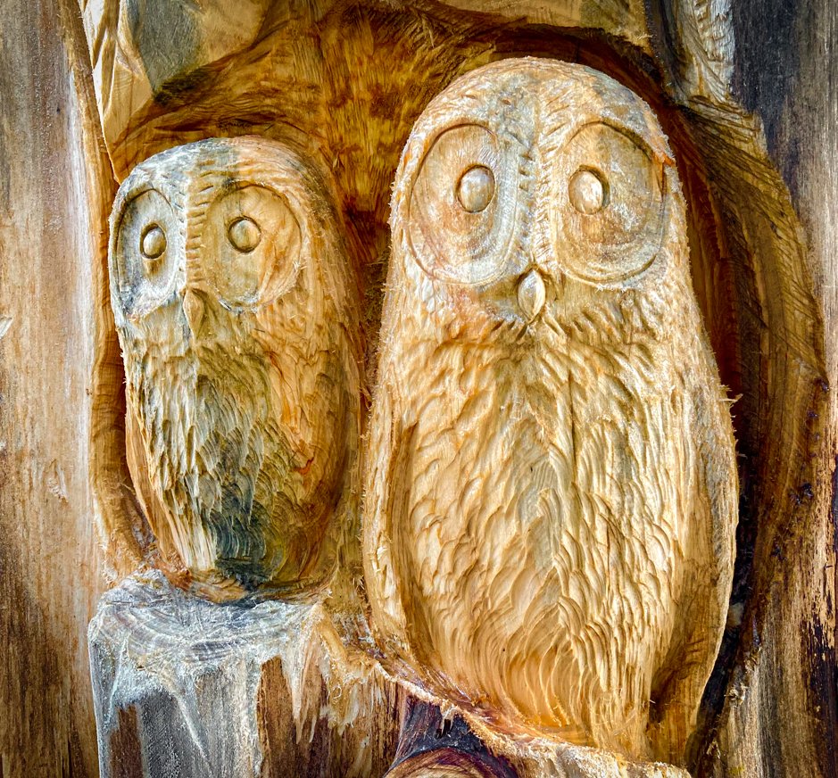 Burwell House tweet media