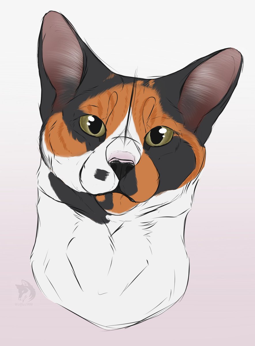 woIfie1998's tweet photo. Recent sketched portrait I did for @reoisready who's sweet cat Callie passed away a few days ago. I was inspired by what they wrote about her that stated that they were never a cat person until they met her. This really hit close to home. I hope it brings comfort <3 https://t.co/K2oyFmwDVh