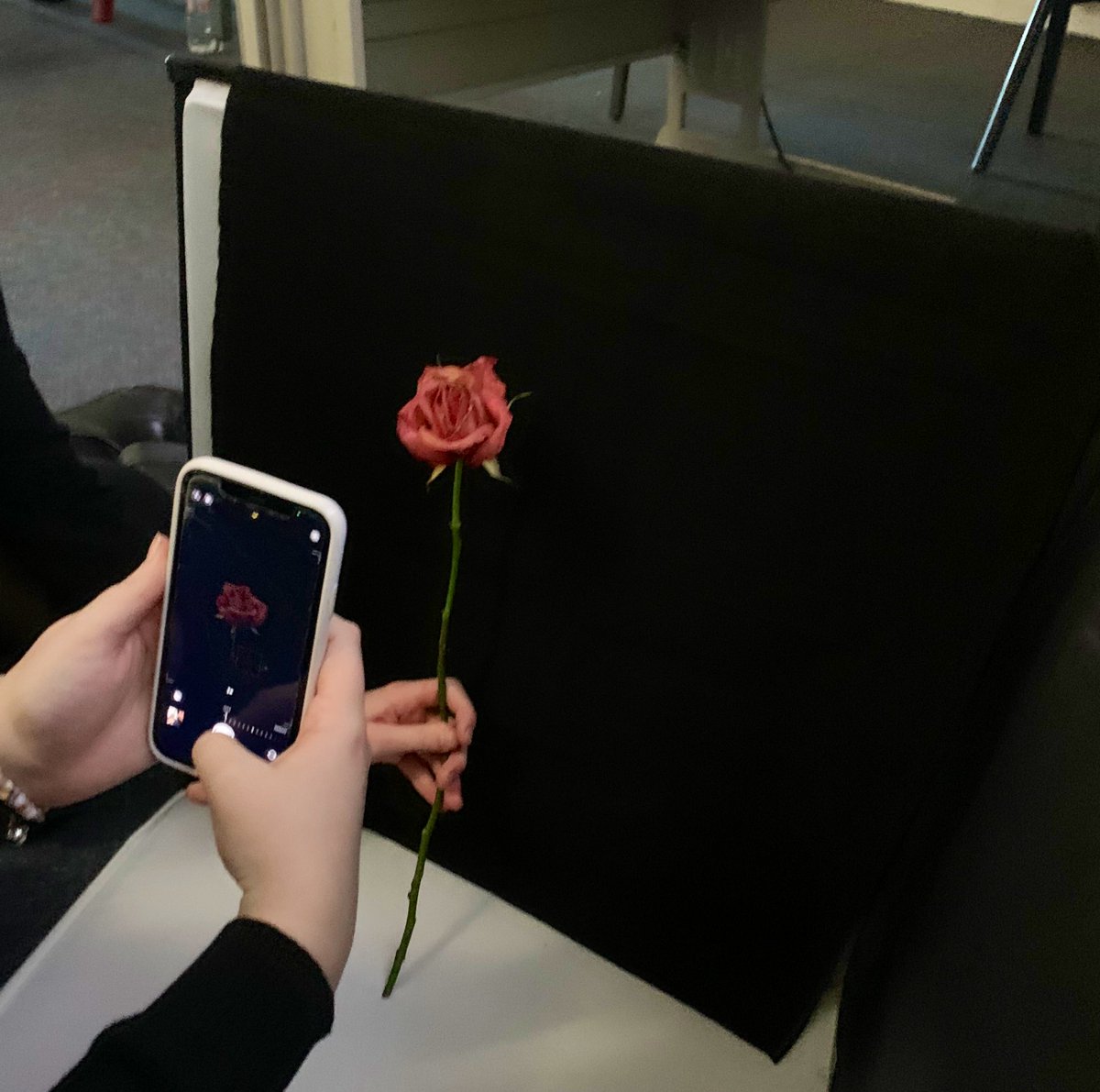 CasMediaDept's tweet photo. This afternoon photography lessons. Some students have been inspired by the artist #billykidd and have been creating the most wonderful shots #professional #photography #photos #floral #artist #creativity #skill #flowers well done 👏  🌺 https://t.co/UYY19VbD8o