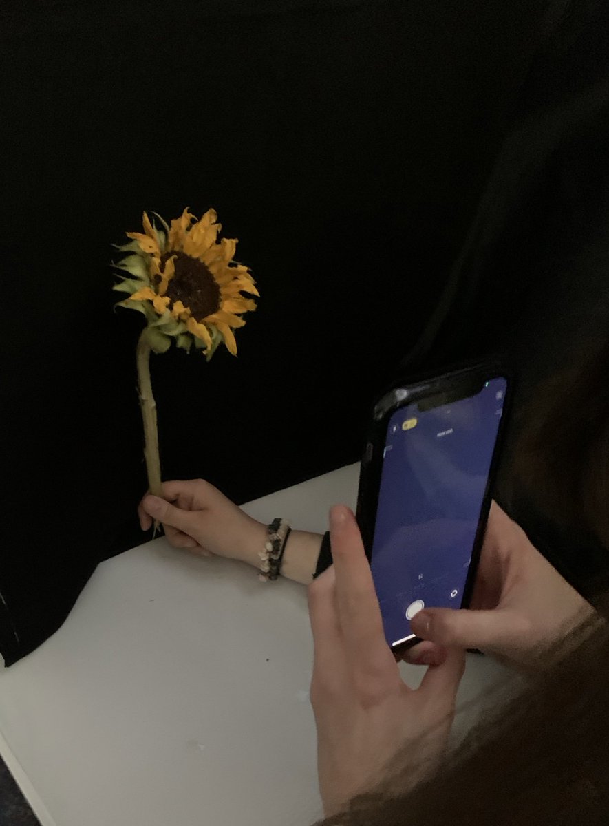 CasMediaDept's tweet photo. This afternoon photography lessons. Some students have been inspired by the artist #billykidd and have been creating the most wonderful shots #professional #photography #photos #floral #artist #creativity #skill #flowers well done 👏  🌺 https://t.co/UYY19VbD8o