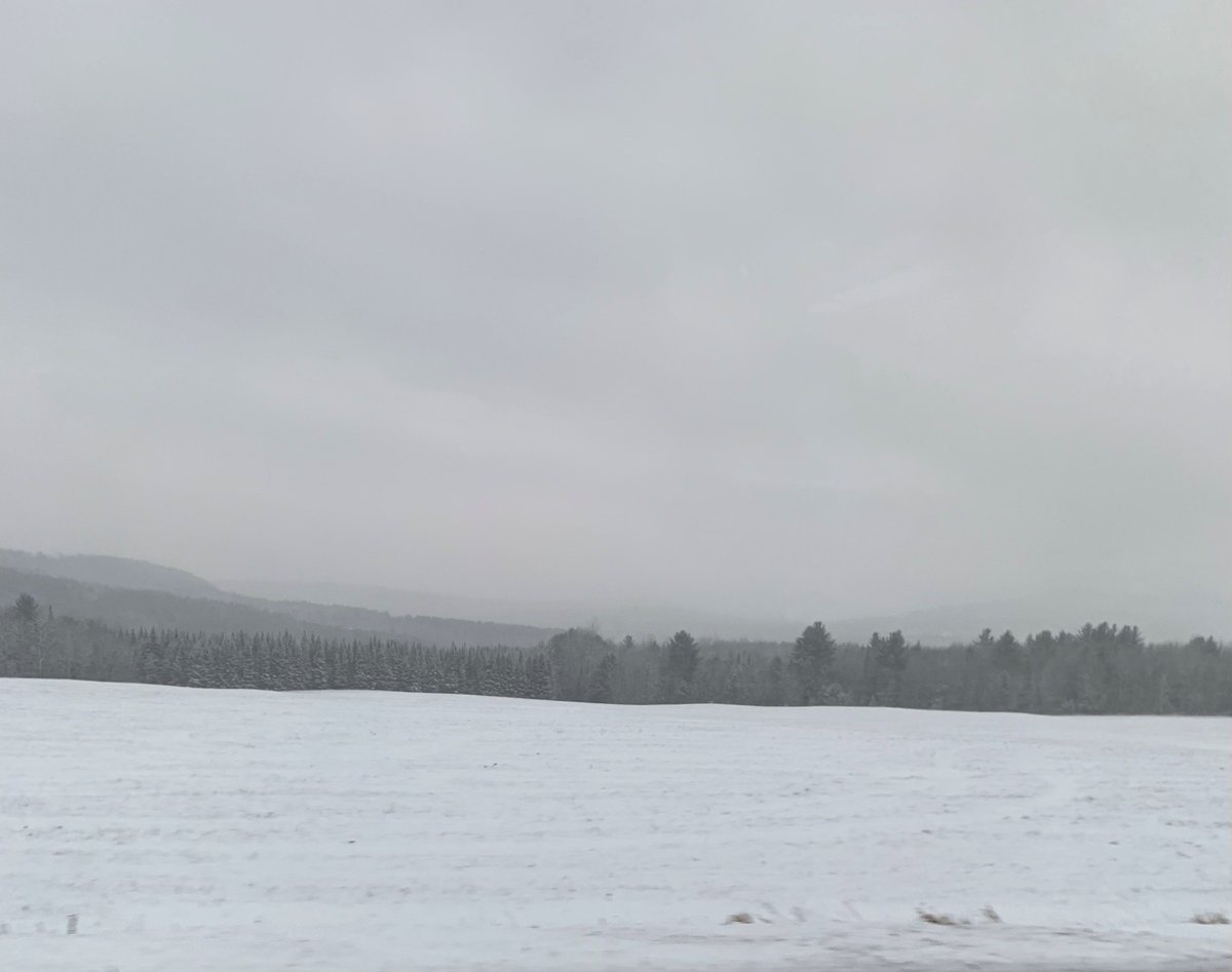 ButternutMFarm tweet media