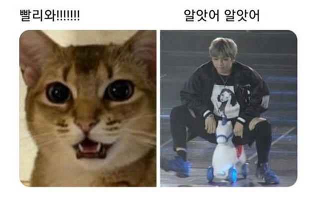 Riz_Dani1210's tweet photo. 강고영씨 오늘은 어깨펴!!!😆😆
#HappyDanielDay
#너와나의_강다니엘_26번째겨울이야기 
생일축하해💓 https://t.co/Dne84sgAx0