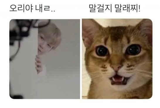 Riz_Dani1210's tweet photo. 강고영씨 오늘은 어깨펴!!!😆😆
#HappyDanielDay
#너와나의_강다니엘_26번째겨울이야기 
생일축하해💓 https://t.co/Dne84sgAx0