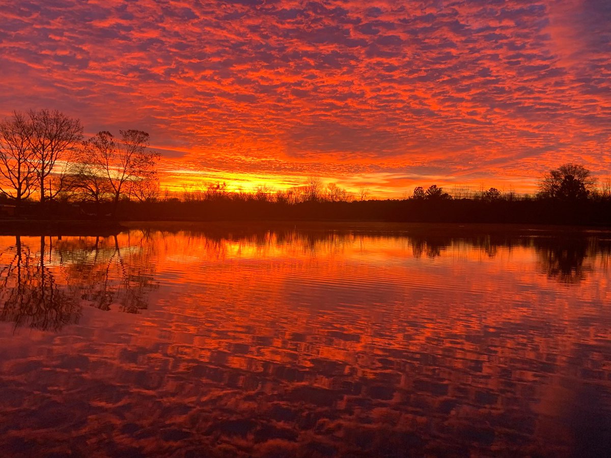 Jill Hartness tweet media