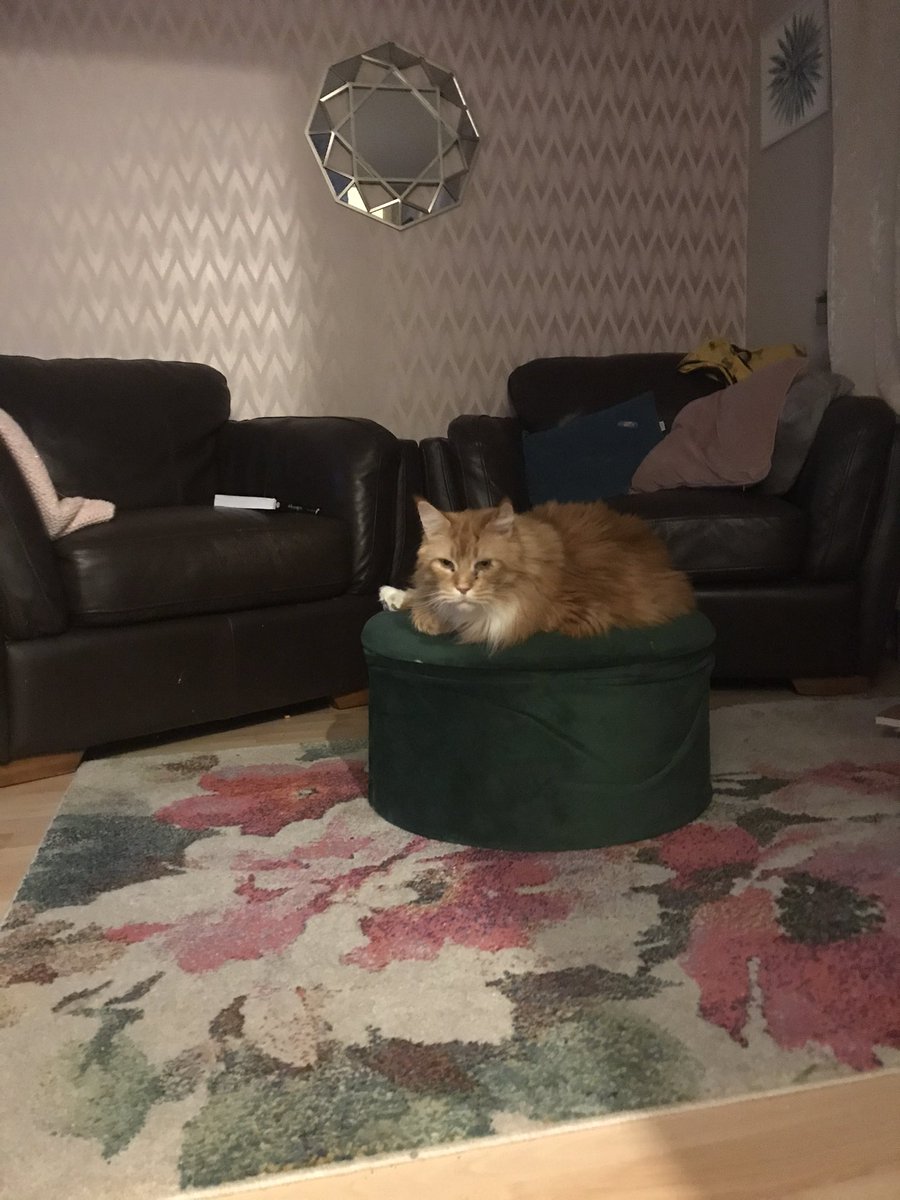 MCo Hart (@hart_mco) on Twitter photo 