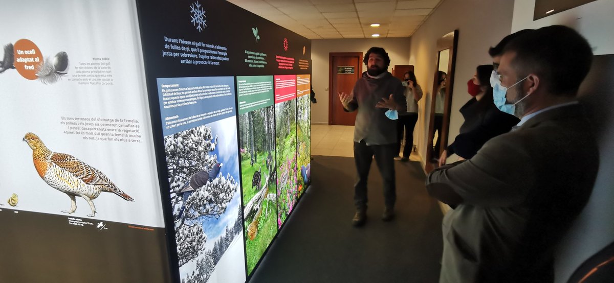 pnaltpirineu's tweet photo. Estrenem la nova exposició "Tots podem ajudar al gall fer 🦃" del projecte #Perifer de @paisatgesvius a l'Hotel Cota 2000 de @port_aine amb el Vicepresident del @govern @JordiPuignero i la Presidenta de @FGC @MartaSubira. Serà visitable fins a Setmana Santa. https://t.co/O8AG3FiWcY