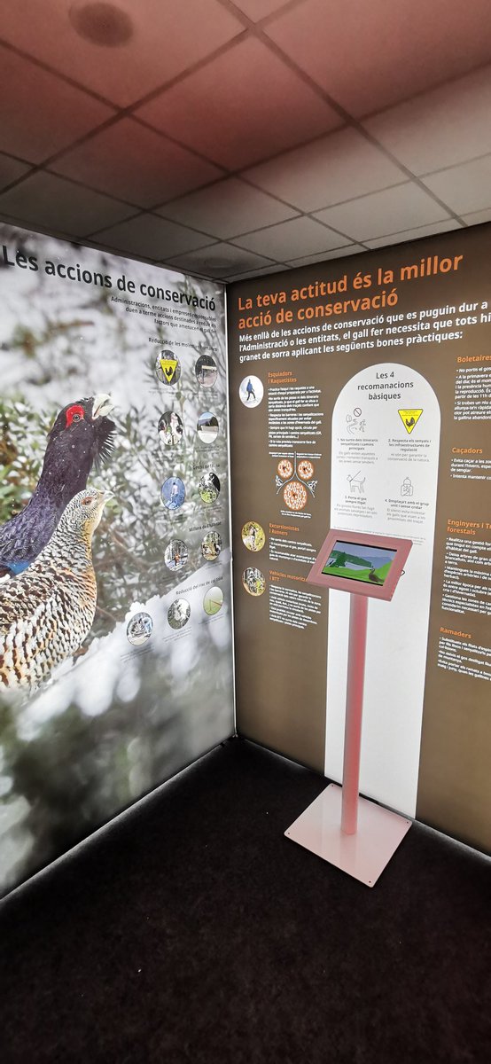 pnaltpirineu's tweet photo. Estrenem la nova exposició "Tots podem ajudar al gall fer 🦃" del projecte #Perifer de @paisatgesvius a l'Hotel Cota 2000 de @port_aine amb el Vicepresident del @govern @JordiPuignero i la Presidenta de @FGC @MartaSubira. Serà visitable fins a Setmana Santa. https://t.co/O8AG3FiWcY
