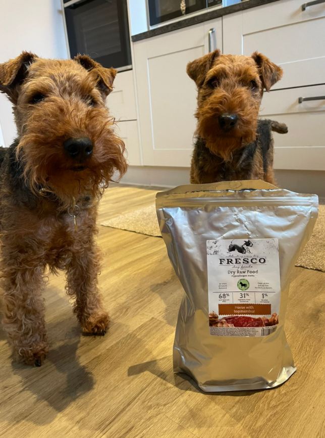 bunchforpets's tweet photo. Is there a more iconic duo than Chuck &amp; Olia? We doubt it. @ChukkaBennett https://t.co/yzytUknuO2