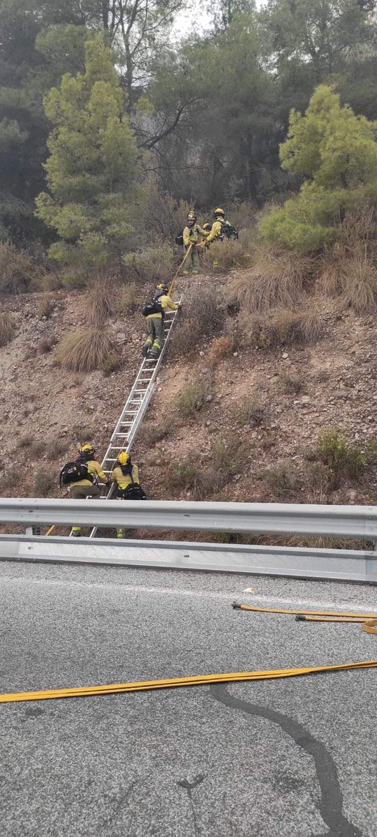 Desde la Seccion Sindical del Sindicato Solidaridad Infoca, exigimos responsabilidades a los responsables y politicos que mantienen el dispositivo Infoca desmantelado, ante incendios forestales como para actuar en cualquier emergencia Medio Ambiental que se produzca en Andalucia