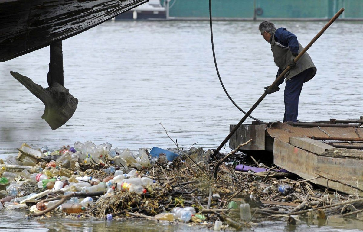 Les océans produisent de la nourriture, des emplois des ressources minérales et énergétiques, elles sont confrontées à des menaces par l'action humaine. Sachons les protégés
#oceans #nature <a href="/Jveivoire/">JVE Côte d'Ivoire</a> <a href="/JVE_Int/">JVE International</a> <a href="/NigerJve/">JVE NIGER</a> <a href="/MissRomida/">Romida Ngniawo</a> <a href="/bsdkrs/">Blondel Silenou</a>
