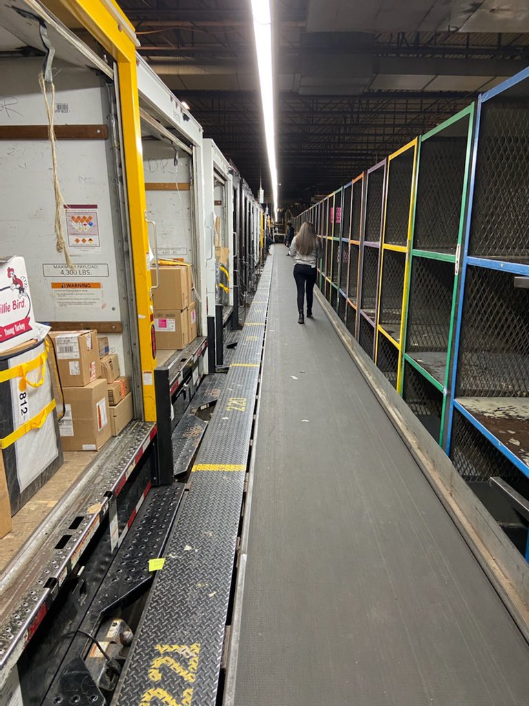 Mia Lewis tweet media